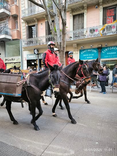 Activities in Barcelona