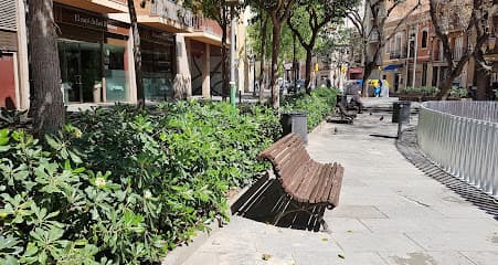 Montserrat Roca i Baltà,