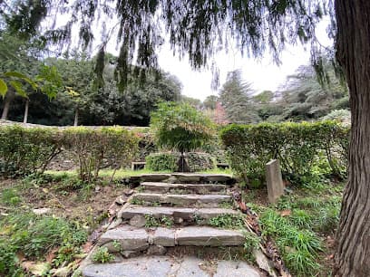 Jardines del Vivero de Can Borni
