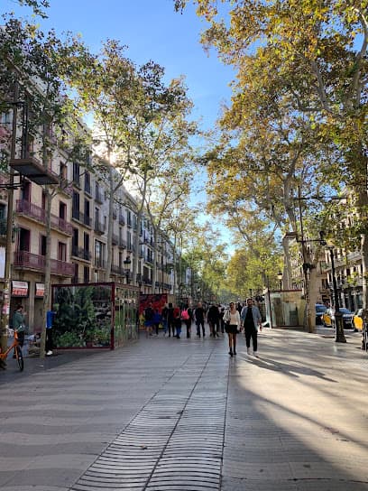 Rambla dels Estudis
