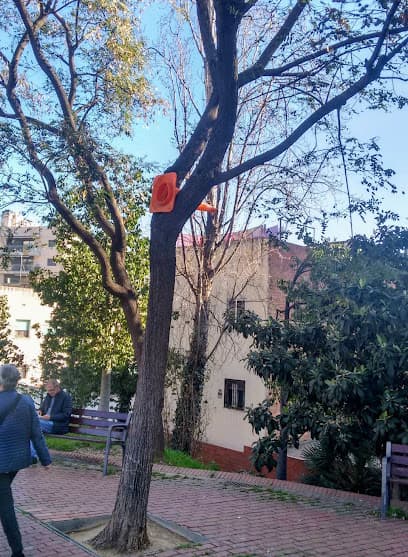 Plaça de la Vall d'Hebron
