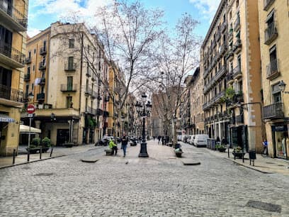 Passeig del Born