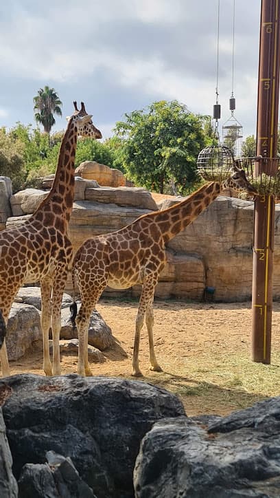 Terrari del Zoo de Barcelona