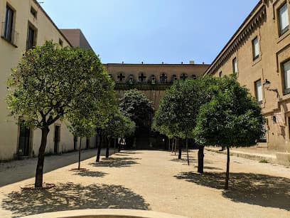 Jardí interior de la Casa de la Misericòrdia