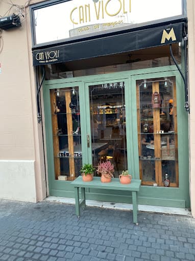 Can Violí